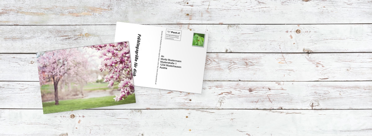 Foto-Postkarte online gestalten
