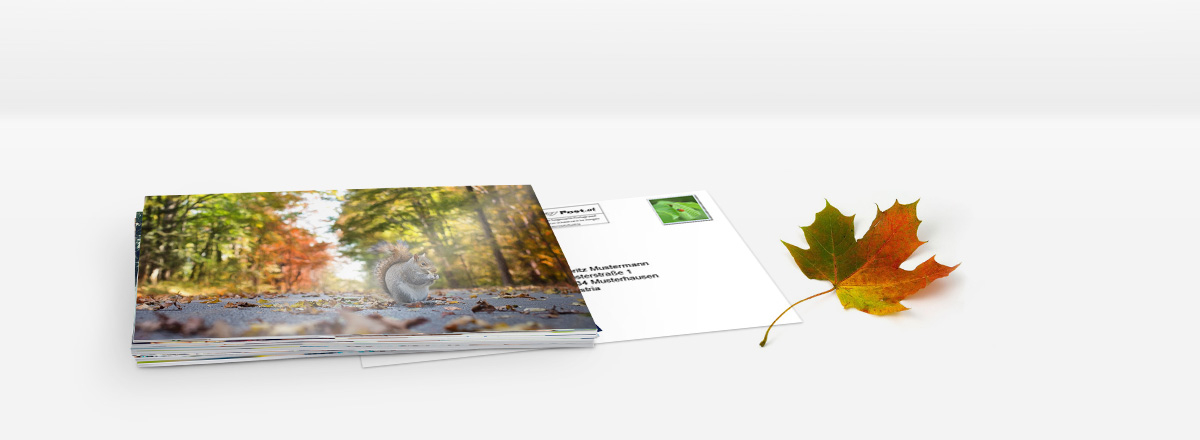 Foto-Postkarte Massenversand